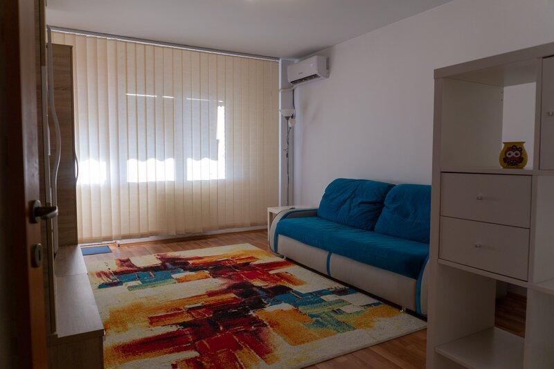 Drumul Taberei, ANL Brancusi,